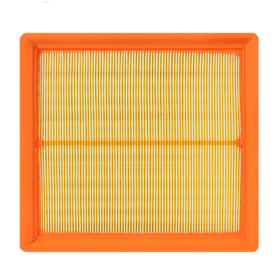 OE 1109110XKU00A 2.0 T ইঞ্জিনের জন্য বায়ু বিশুদ্ধকারী ফিল্টার 69*184*328 আকার